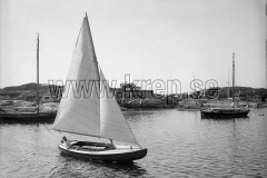 foto_1925_utlottare