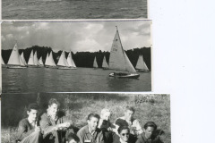 1951_viared