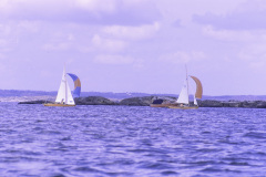 sb1966b