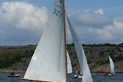 Brevbilaga-31